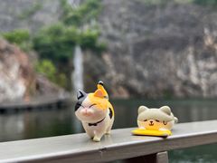 -上海辰山植物园