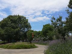 -上海杨姆庄园