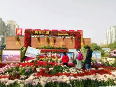 -西北湖绿化广场