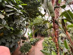 -石家庄市植物园