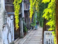 -乌镇景区