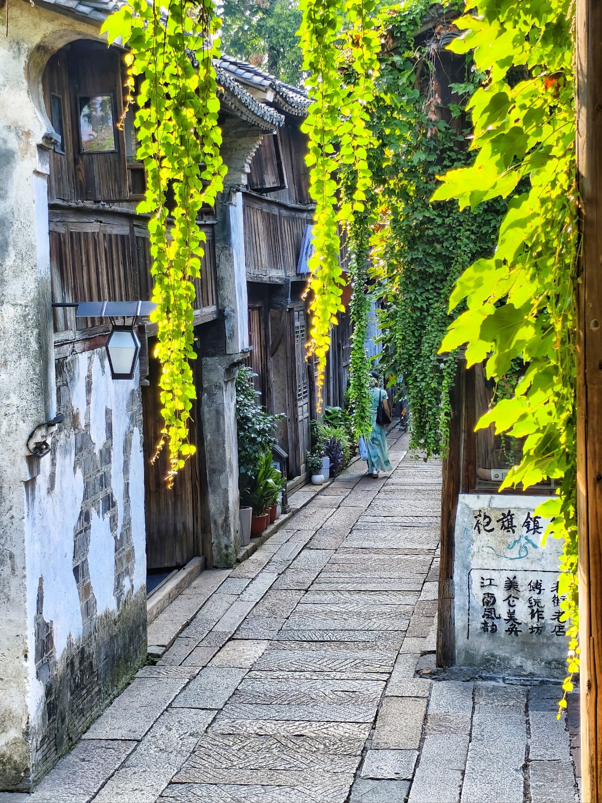 乌镇也有静谧瞬间