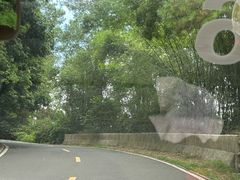 -白云山风景名胜区