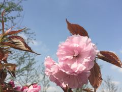 -上膳源有机农场