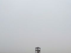 -日照海滨国家森林公园