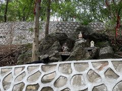 -宝通禅寺