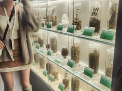 -广东中医药博物馆