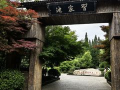 -习家池
