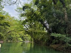 -九曲溪竹筏码头