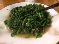 清炒豌豆尖-翕庐小苑