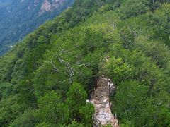 -少华山国家森林公园