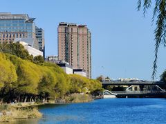 -三里屯东五街银杏大道