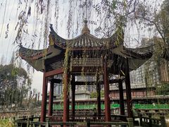 -温江公园
