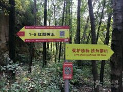 -北京密云天门山风景区