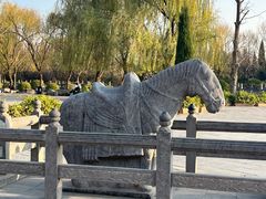 -洛阳白马寺