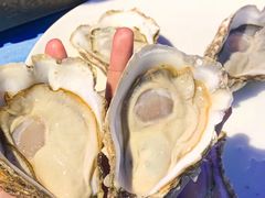 -千岛蚝高压锅生蚝·人参火锅(白云万达店)