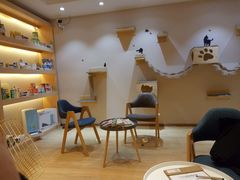 -Pets First伊珊娜洗护·精致美容·家庭式寄养(新会路店)
