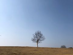 -钟山体育运动公园