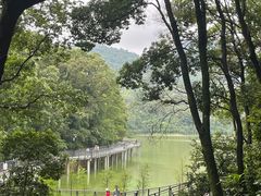-广州市白云山风景名胜区
