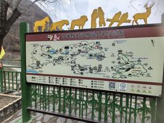 -栾川竹海野生动物园