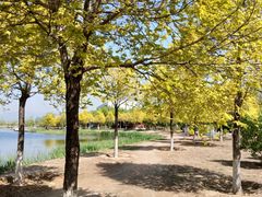 -永定河休闲森林公园