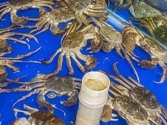 -阳澄湖大闸蟹·琼灵阁牌品牌连锁(吴中总店)