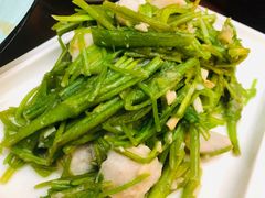 -阿鹏故事云南野生菌火锅(人民路店)