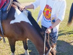 -塞罕坝国家级自然保护区