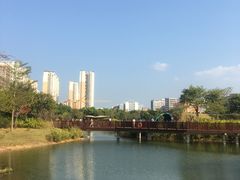 -福田红树林生态公园