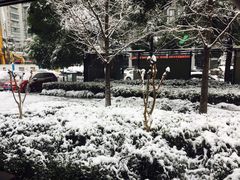 -MEET COFFEE婉约咖啡(宝善公寓店)