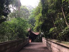 -都江堰普照寺