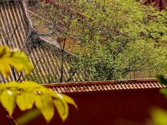 -梵天禅寺