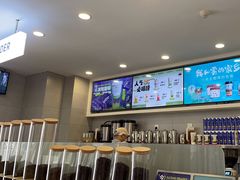 -雾与山茶(大禹城店)