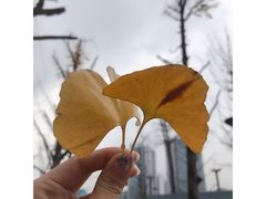 -两江幸福广场