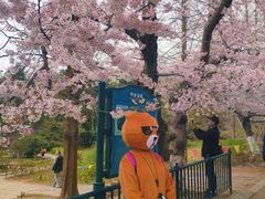 -青岛中山公园-索道售票处