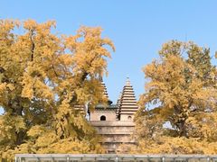 -北京石刻艺术博物馆(五塔寺)