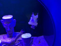 -欢乐海岸海洋奇梦馆