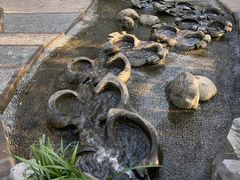 -成都市活水公园