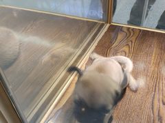 -乐宠宠物店(世纪金源店)