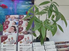-雅悦齿科(顾村公园店)