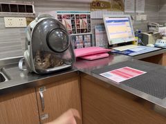 -瑞派名望志远动物医院·猫科·內科·异宠专科(直港大道店)