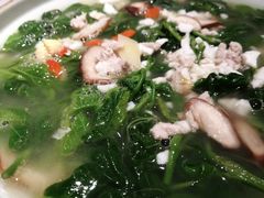上汤桑叶苗-大榕树下顺德菜(融创茂店)