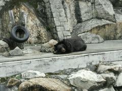 动物园-二龙喉公园