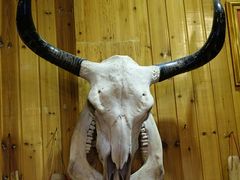 景观位-巴人堂(女儿城店)