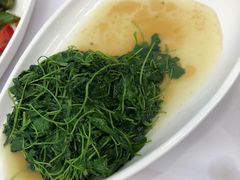 -春餐厅