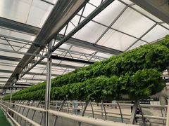 -兴芮温泉度假区