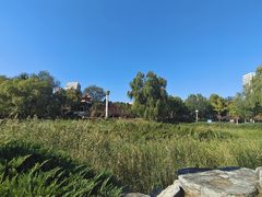 -永定河休闲森林公园