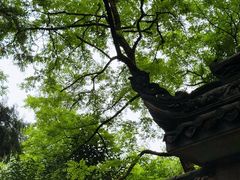 -成都老君山