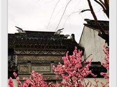 -檀园