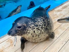 -泉城欧乐堡海洋极地世界